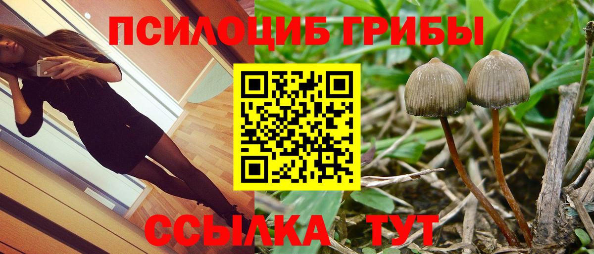 Псилоцибиновые грибы мухоморы Знаменск